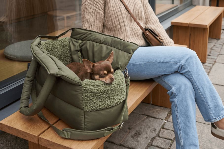 HUNDETRAGETASCHE: Was muss sie können?