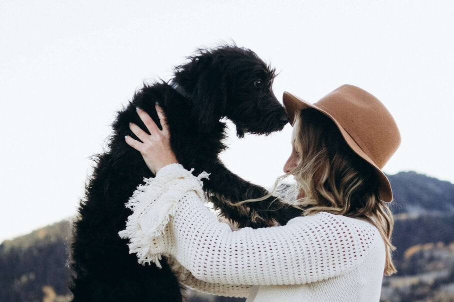 Die Verbindung zum Hund verstärken