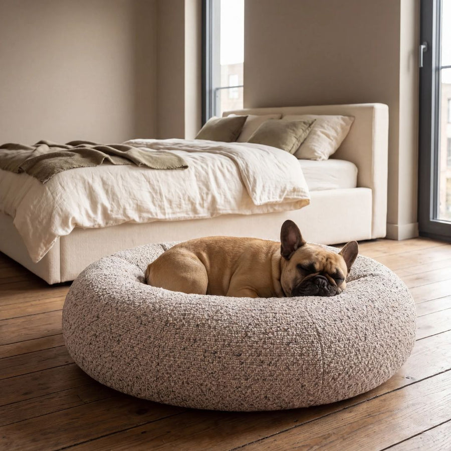 Französische Bulldogge im runden Hundebett LENI im Schlafzimmer