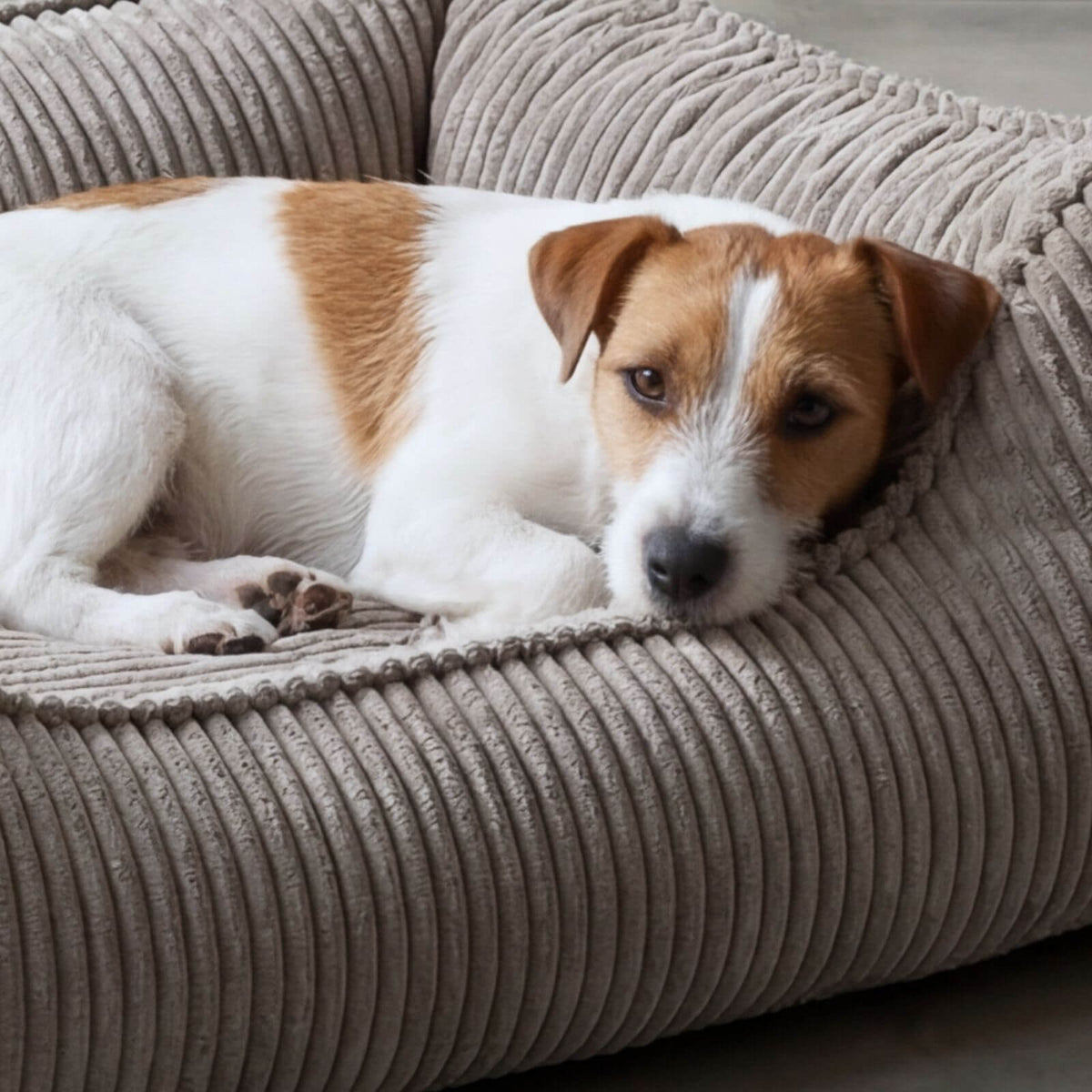 Dog Bed ANTON Cord Gray
