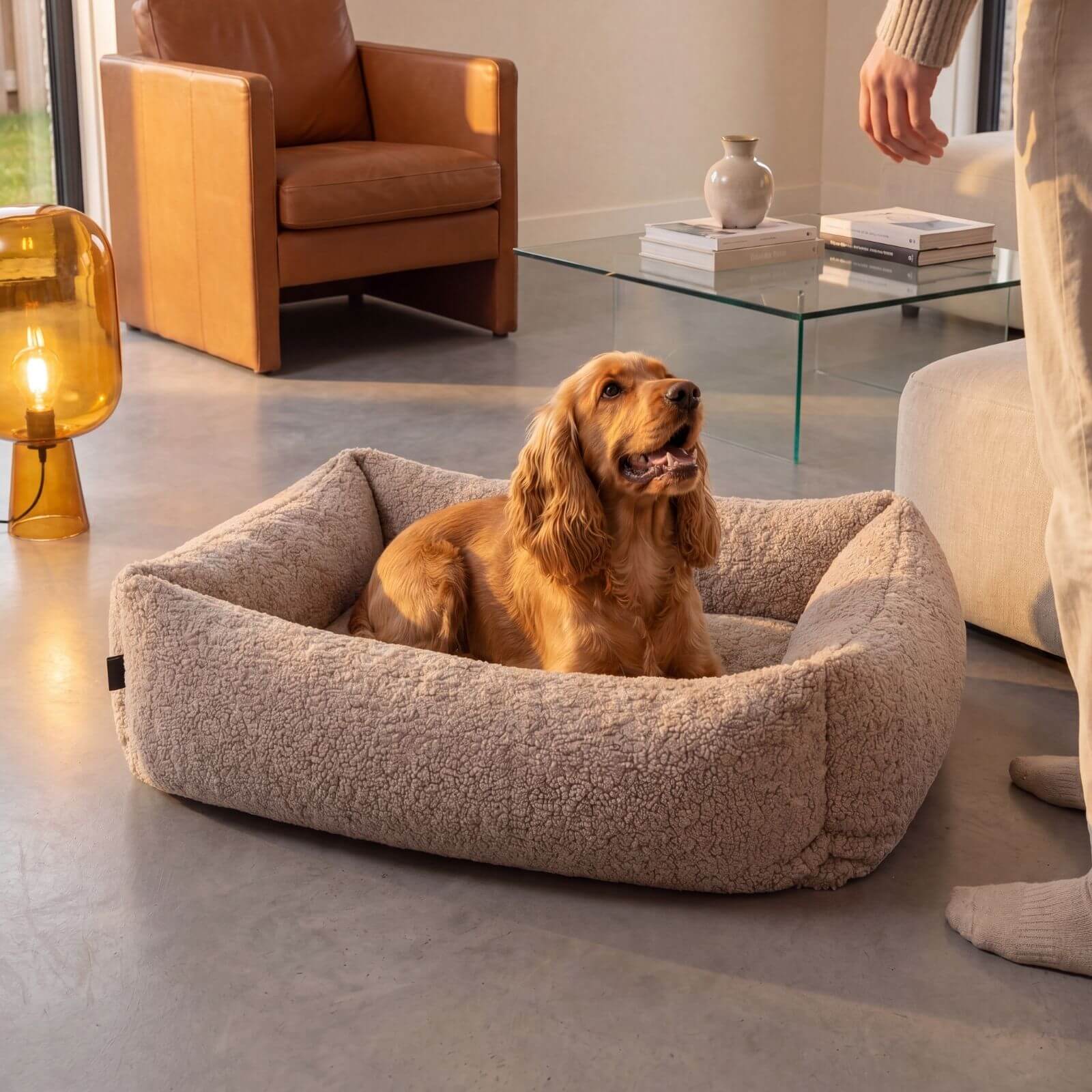 Panier pour chien SVEN Teddy Greige