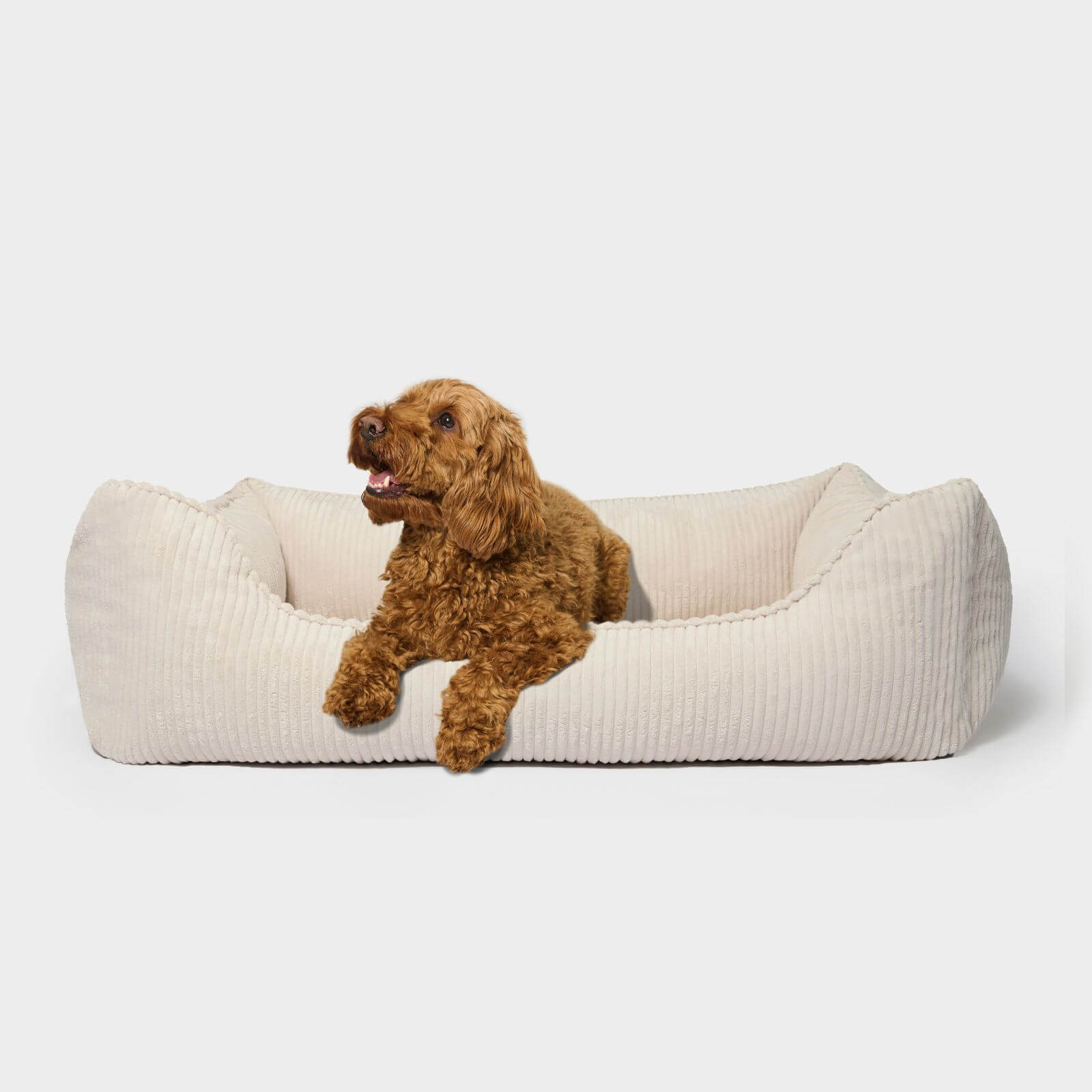 Hundebett ANTON Cord Beige - paw-wow