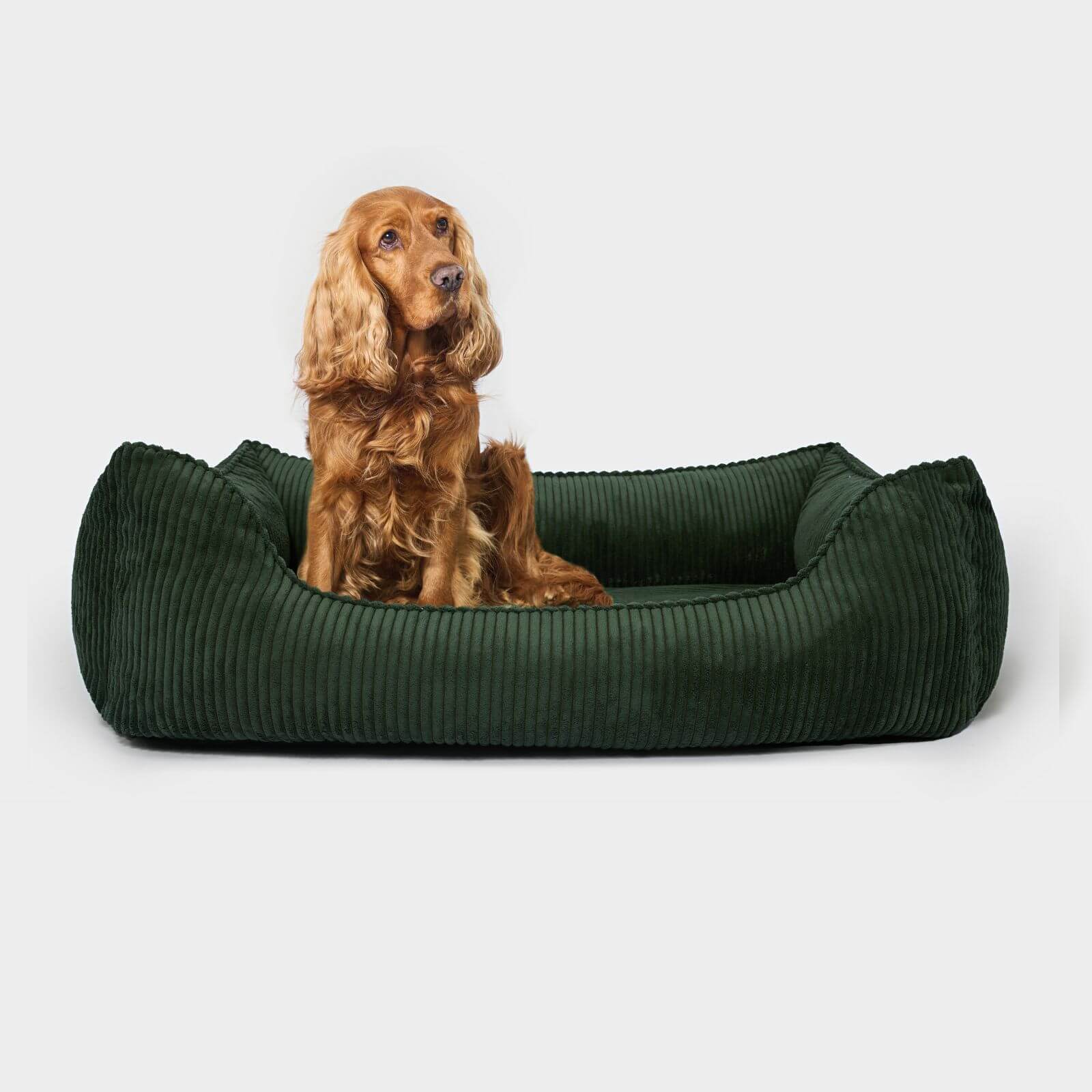Hundebett ANTON Cord Olive - paw-wow