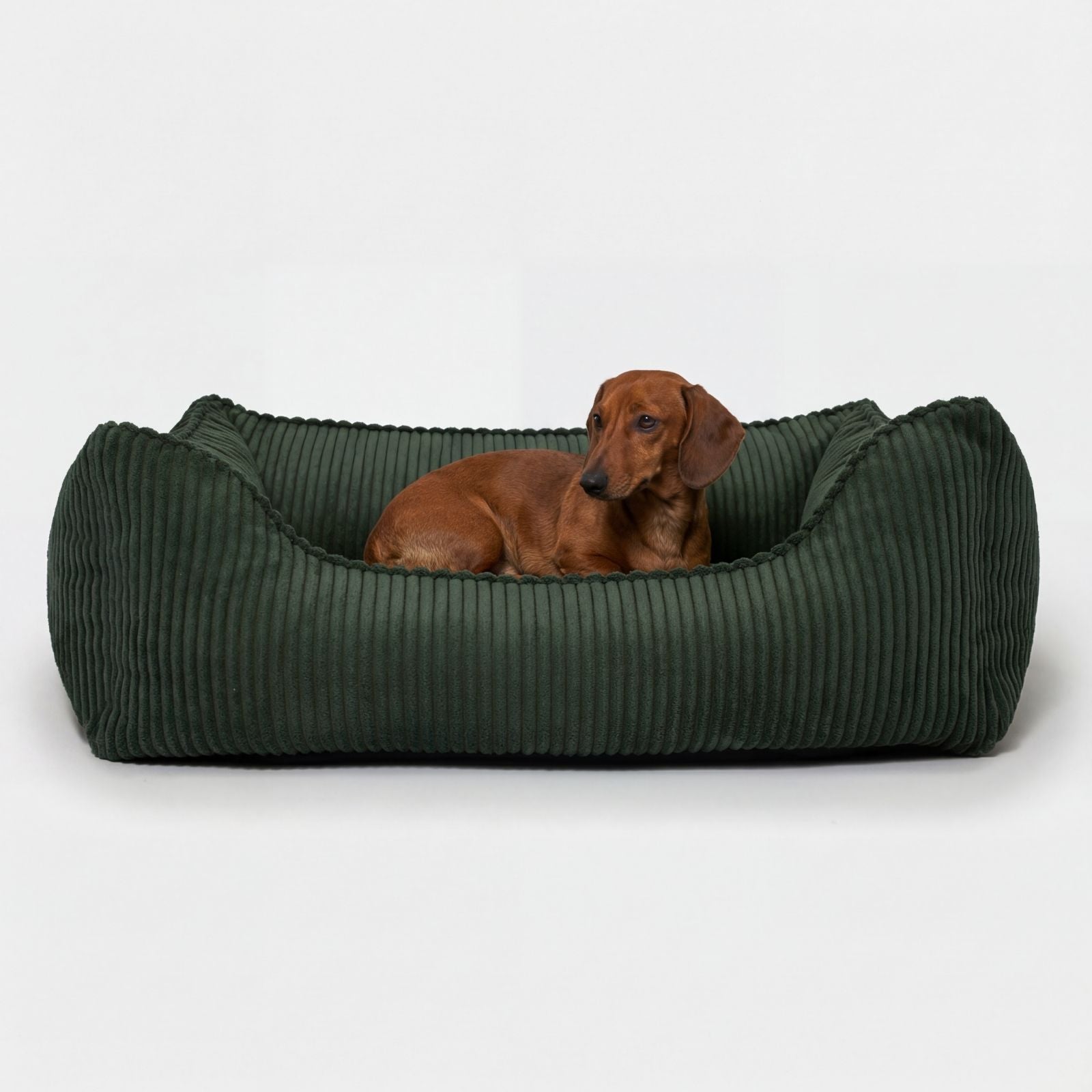 Orthopädisches Hundebett ANTON Cord Olive