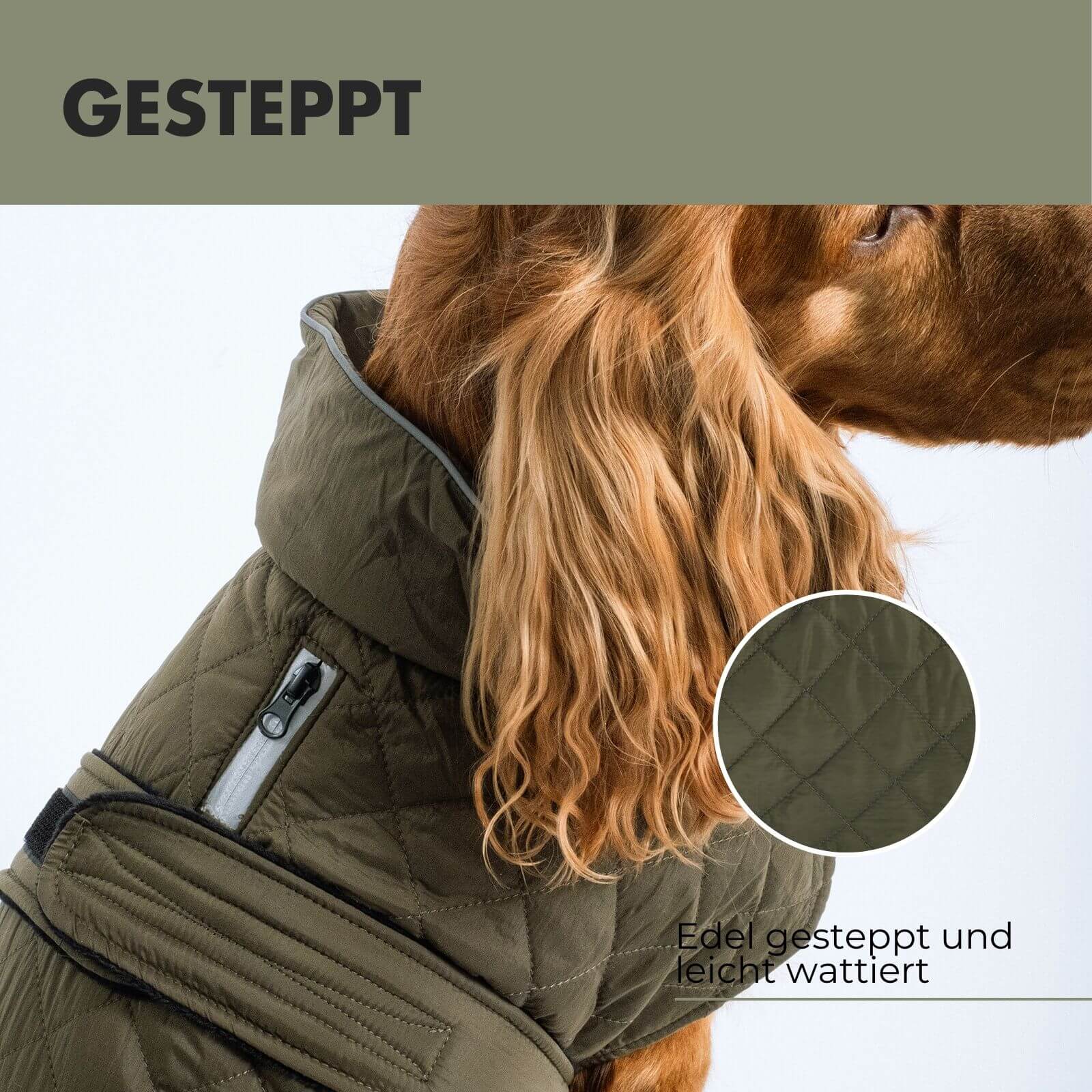 Hundejacke FRITZ Olive - paw-wow