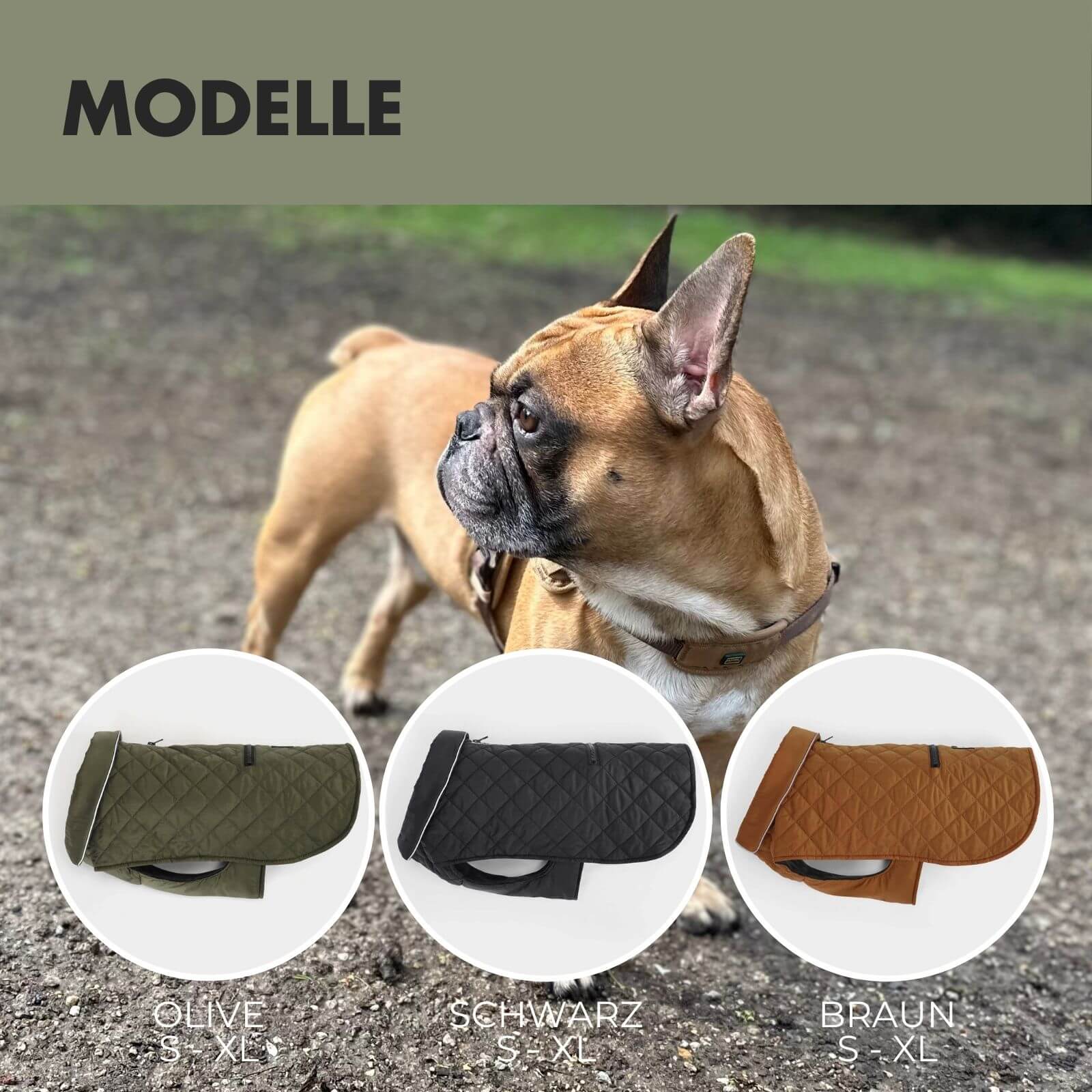 Hundejacke FRITZ Olive - paw-wow
