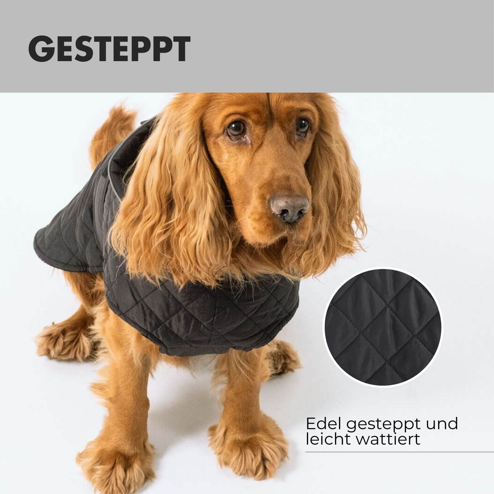 Hundejacke FRITZ Schwarz - paw-wow