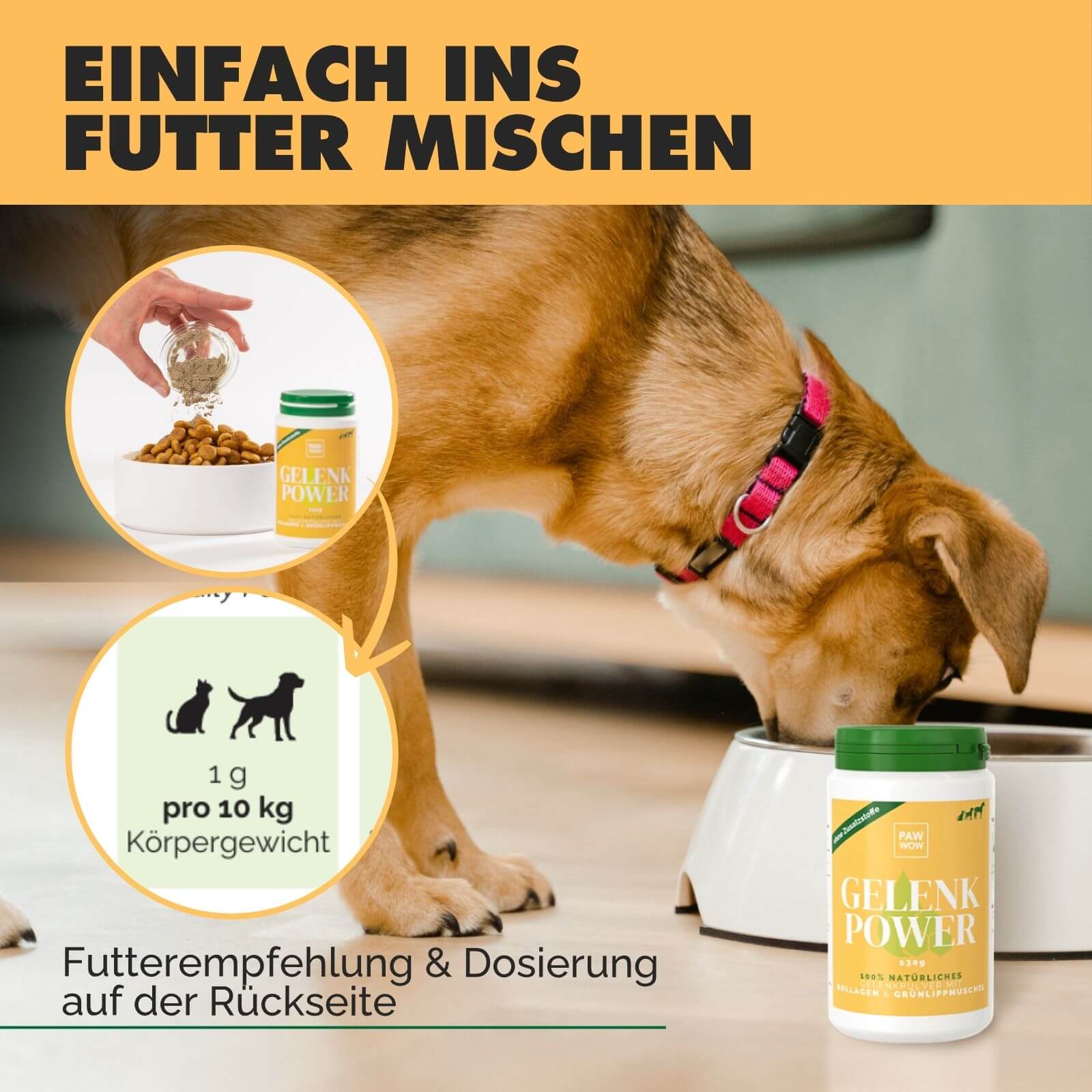 Gelenkpulver GELENKPOWER mit Kollagen & Grünlippmuschel - paw-wow