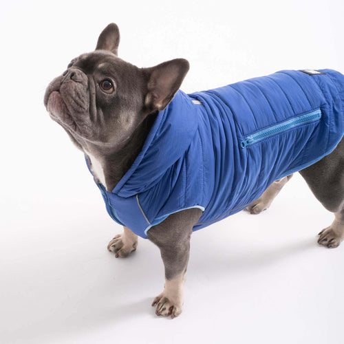 Hundemantel IMMI