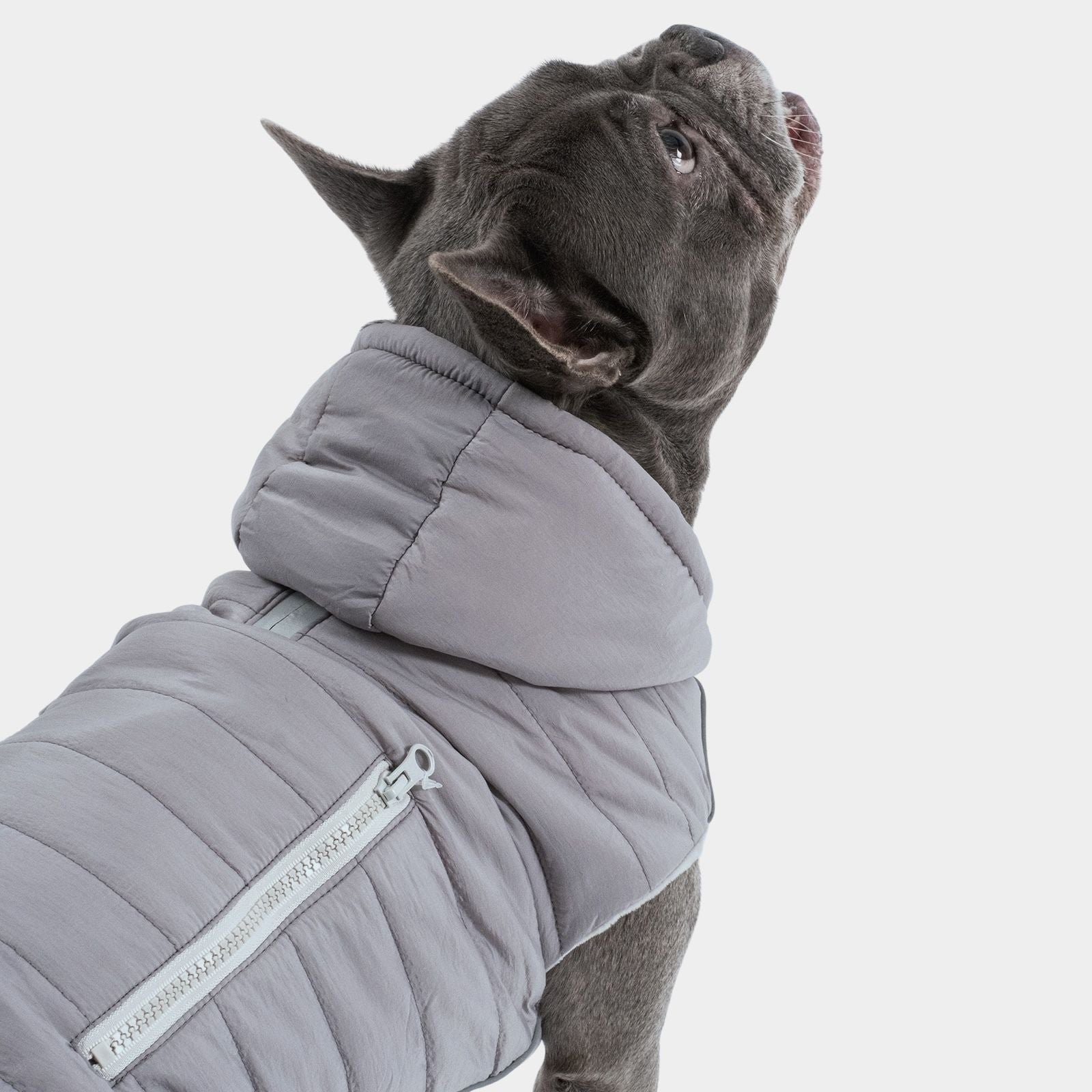 Hundejacke IMMI Grau - paw-wow