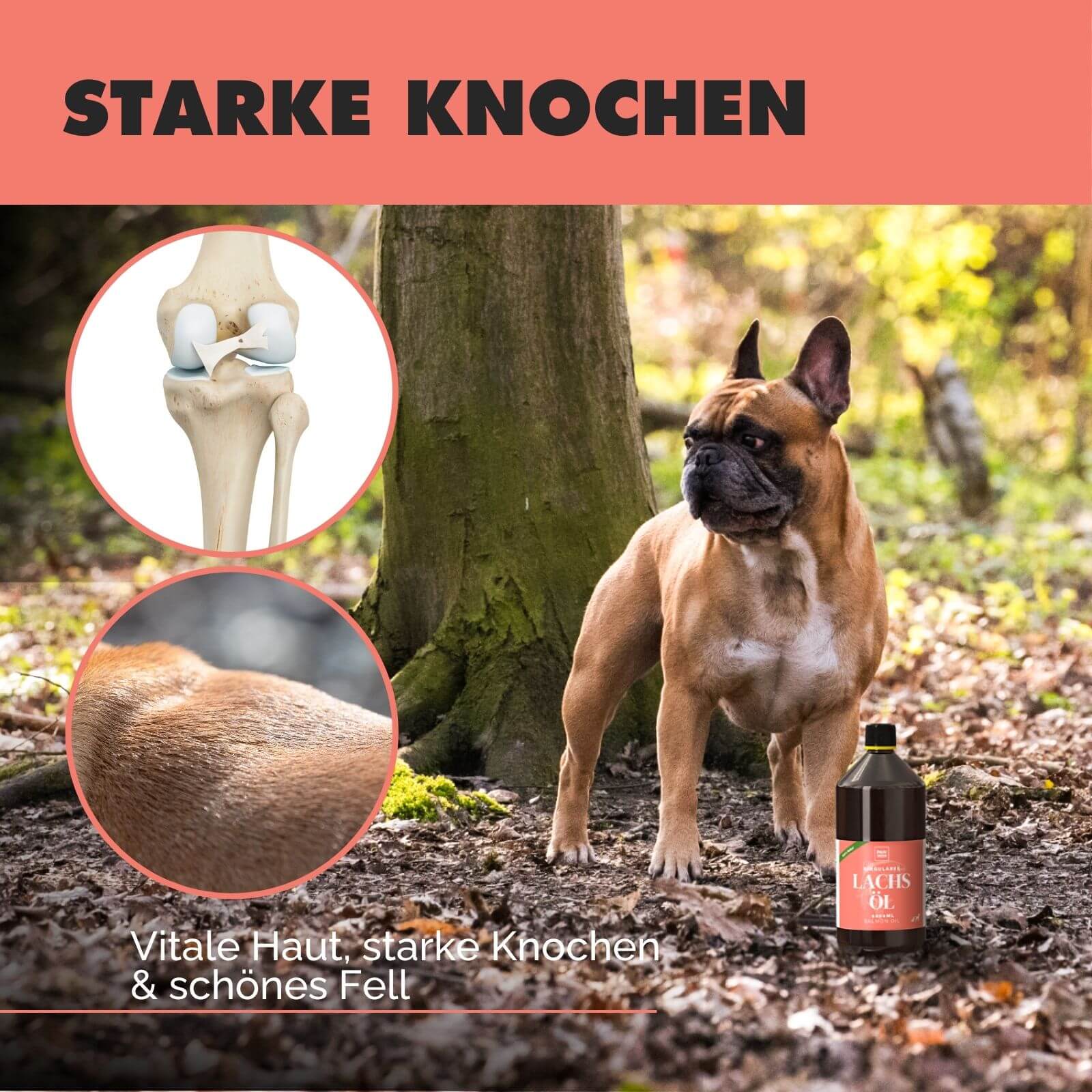 Lachsöl - Natürliche Omega-3-Power - paw-wow