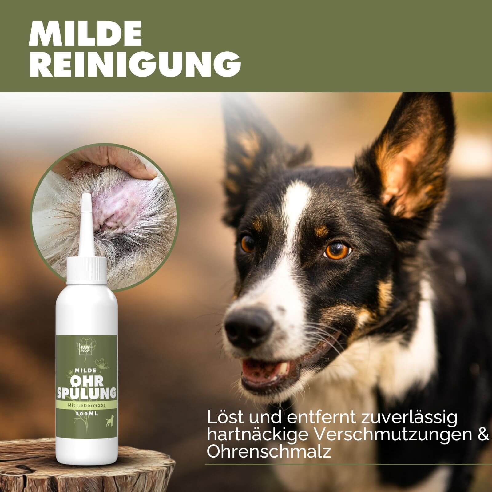 Ohrspülung mit Leberbmoos - paw-wow