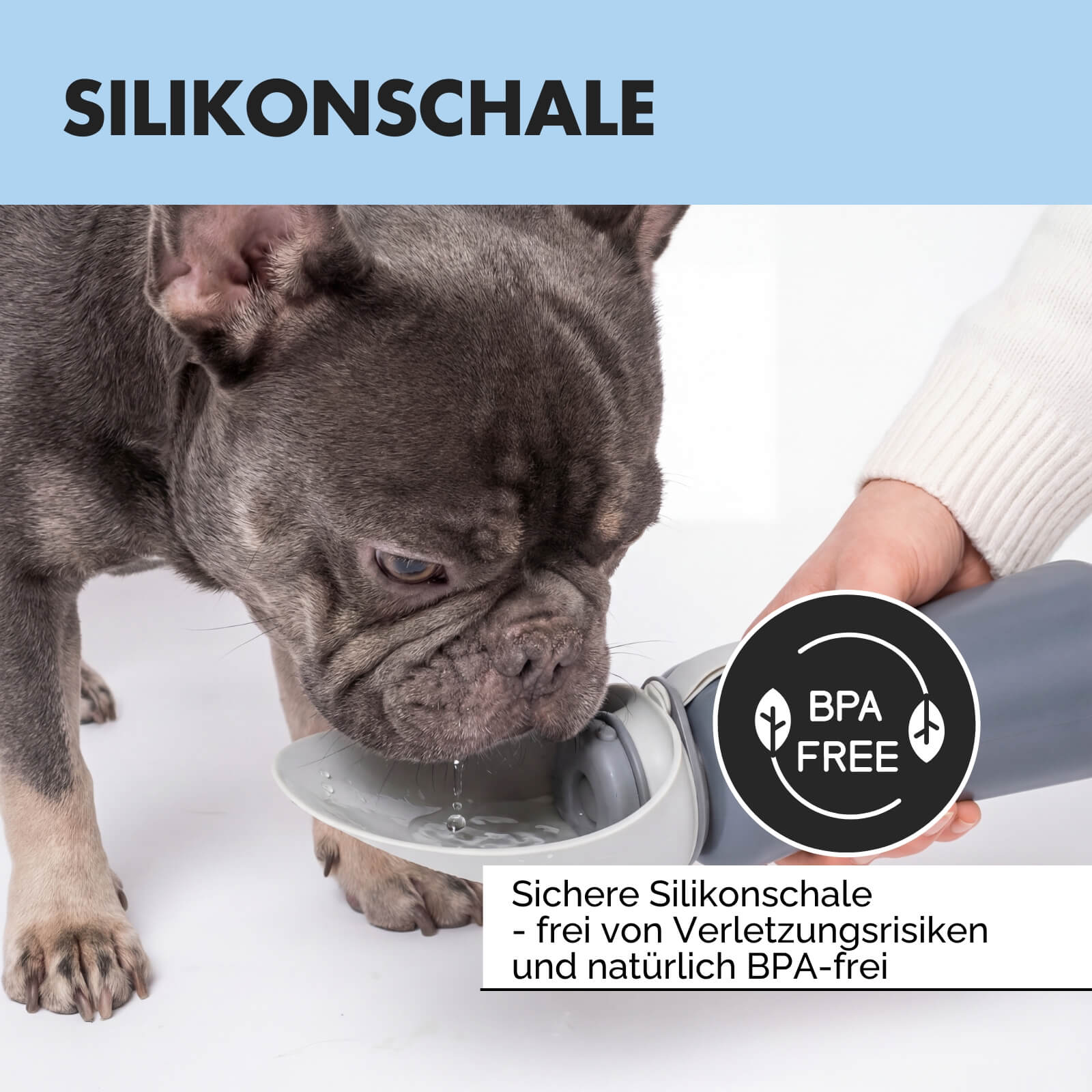 Trinkflasche für Hunde PAUL 800ml
