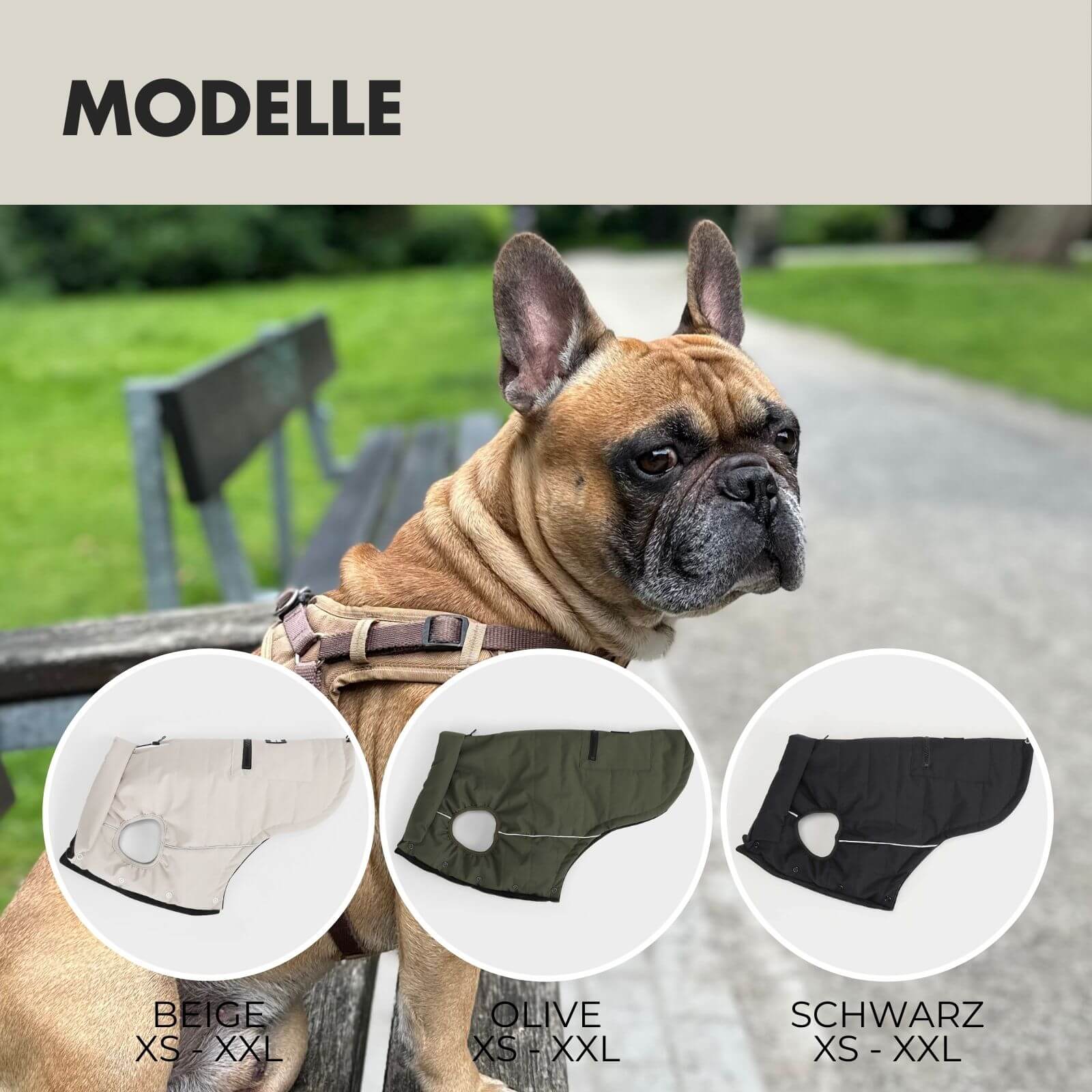 Hundejacke TONI Beige - paw-wow