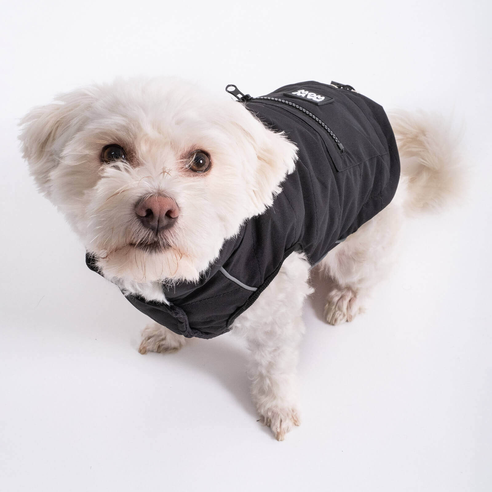 Hundejacke TONI Schwarz - paw-wow