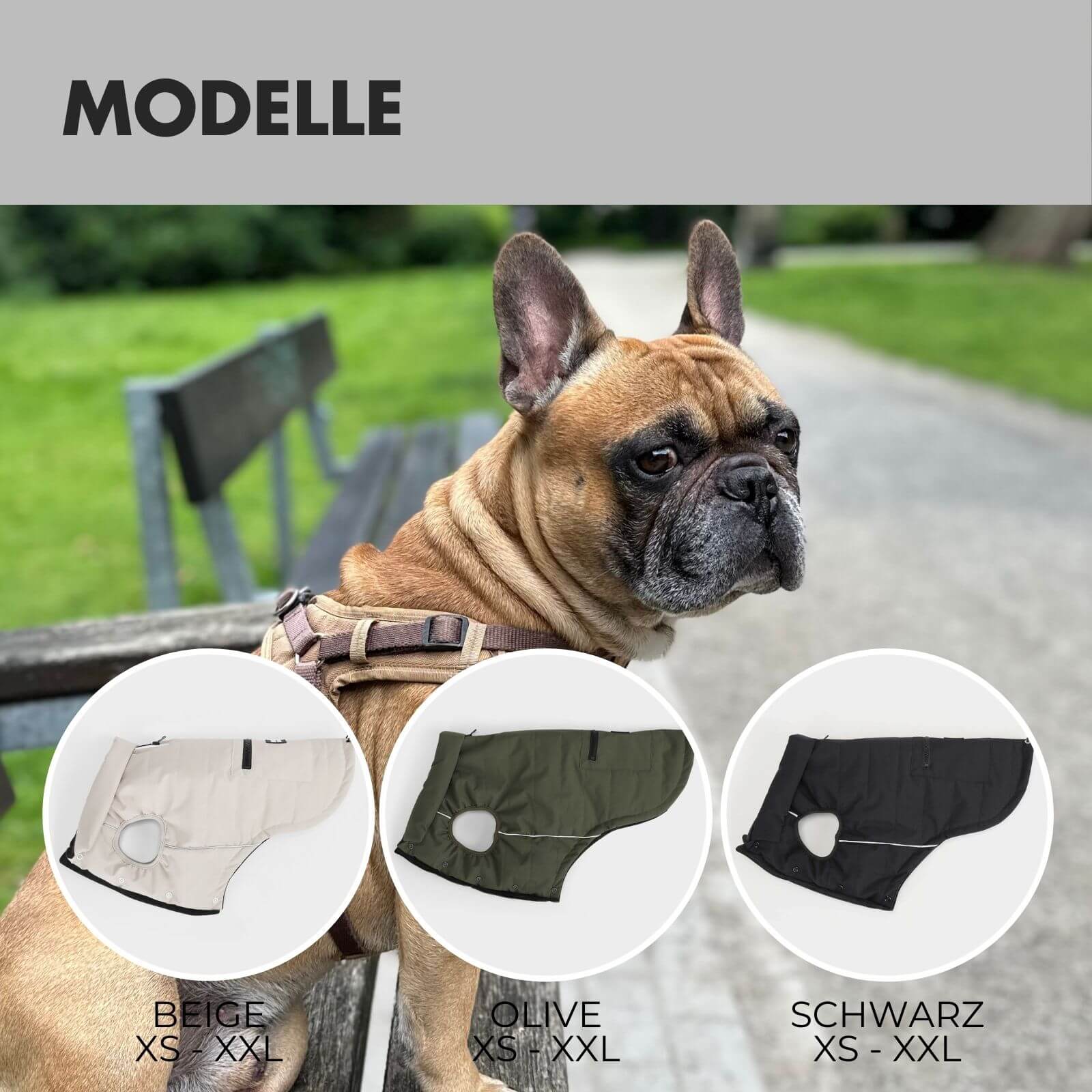 Hundejacke TONI Schwarz - paw-wow