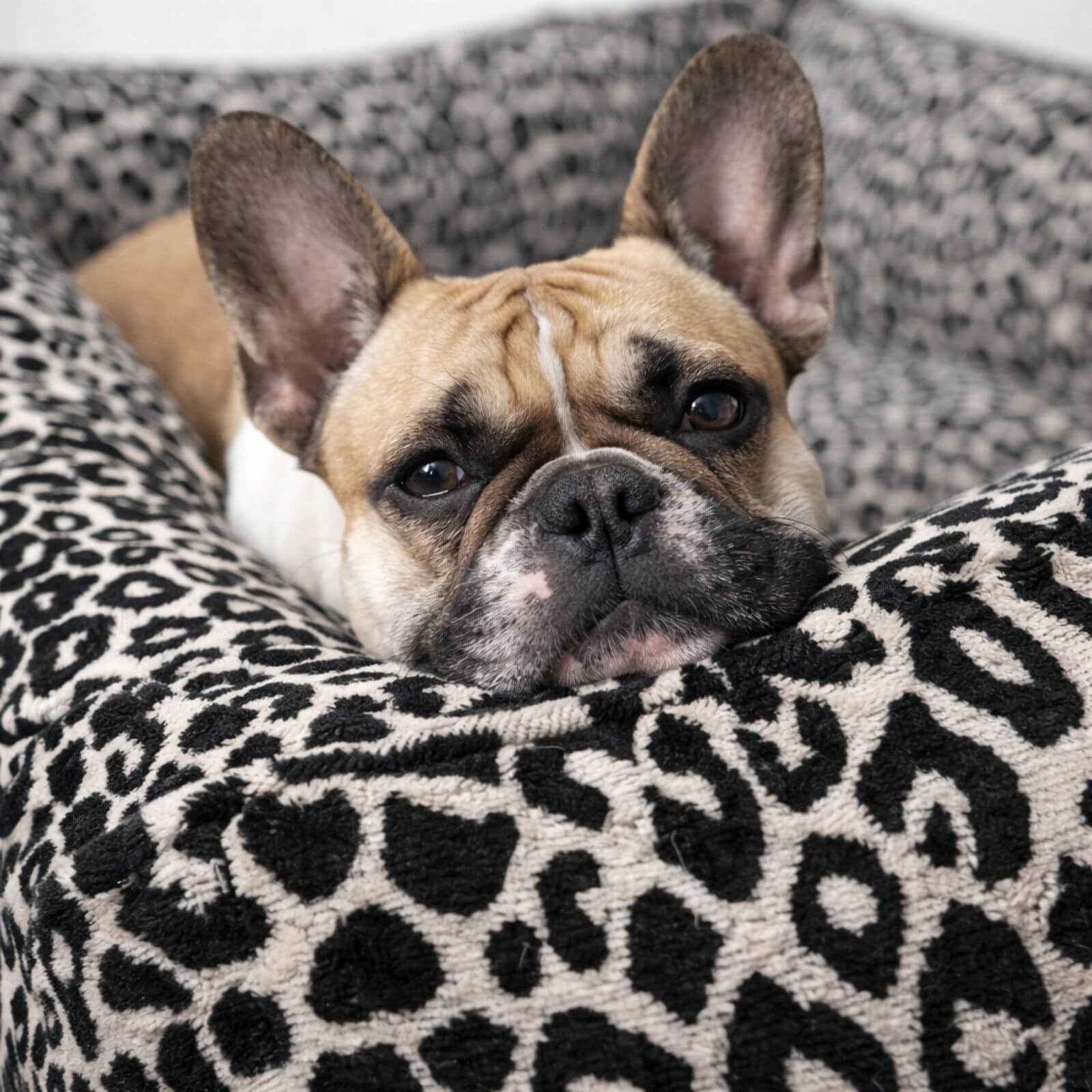 Hundebett LEONIE Beige Schwarz