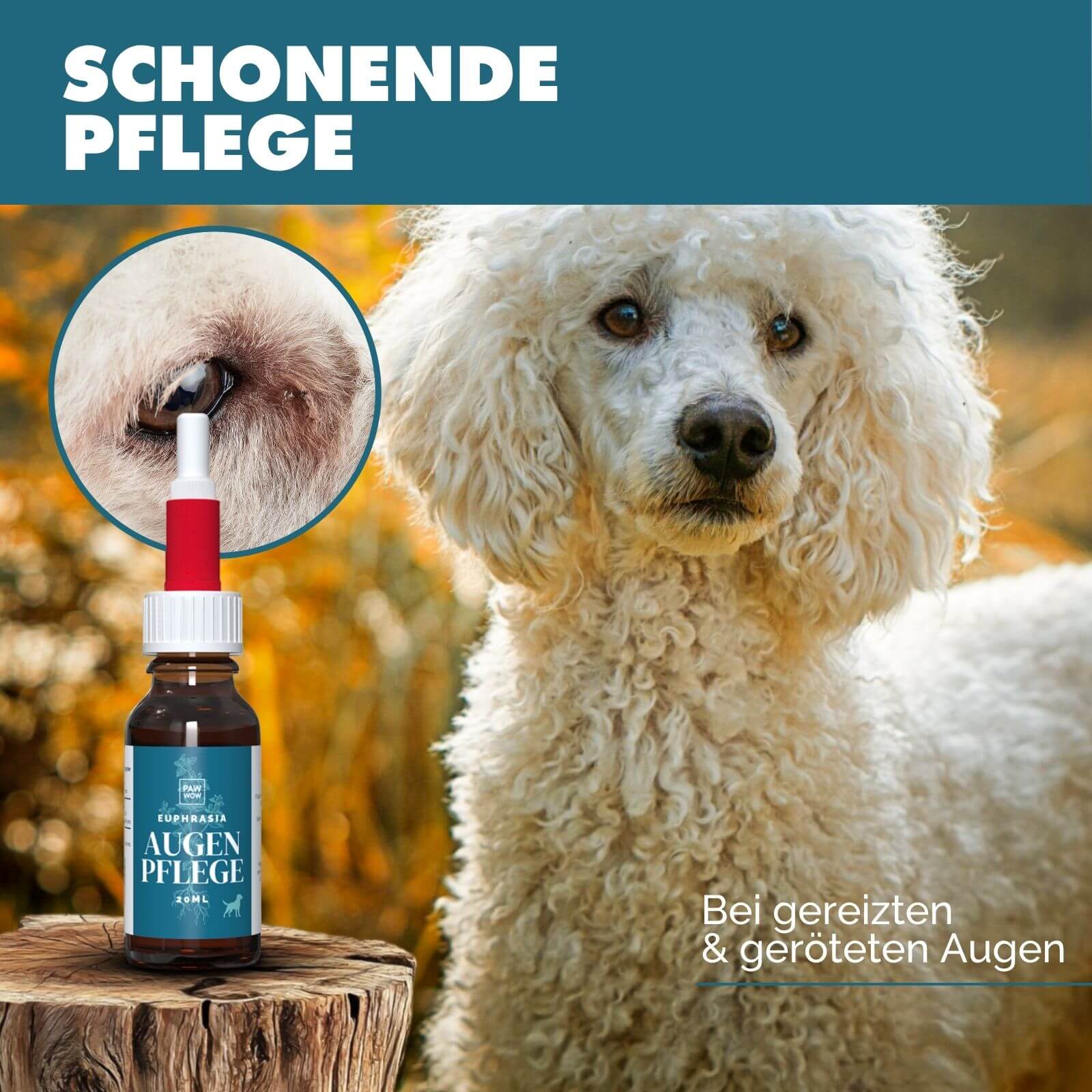 Euphrasia Augenpflege - paw-wow