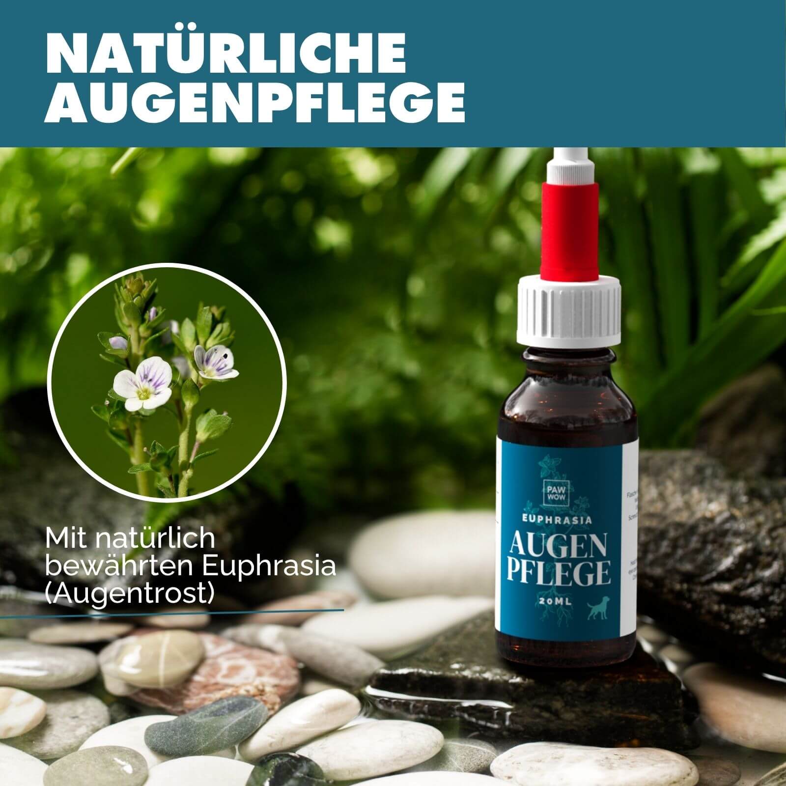 Euphrasia Augenpflege - paw-wow