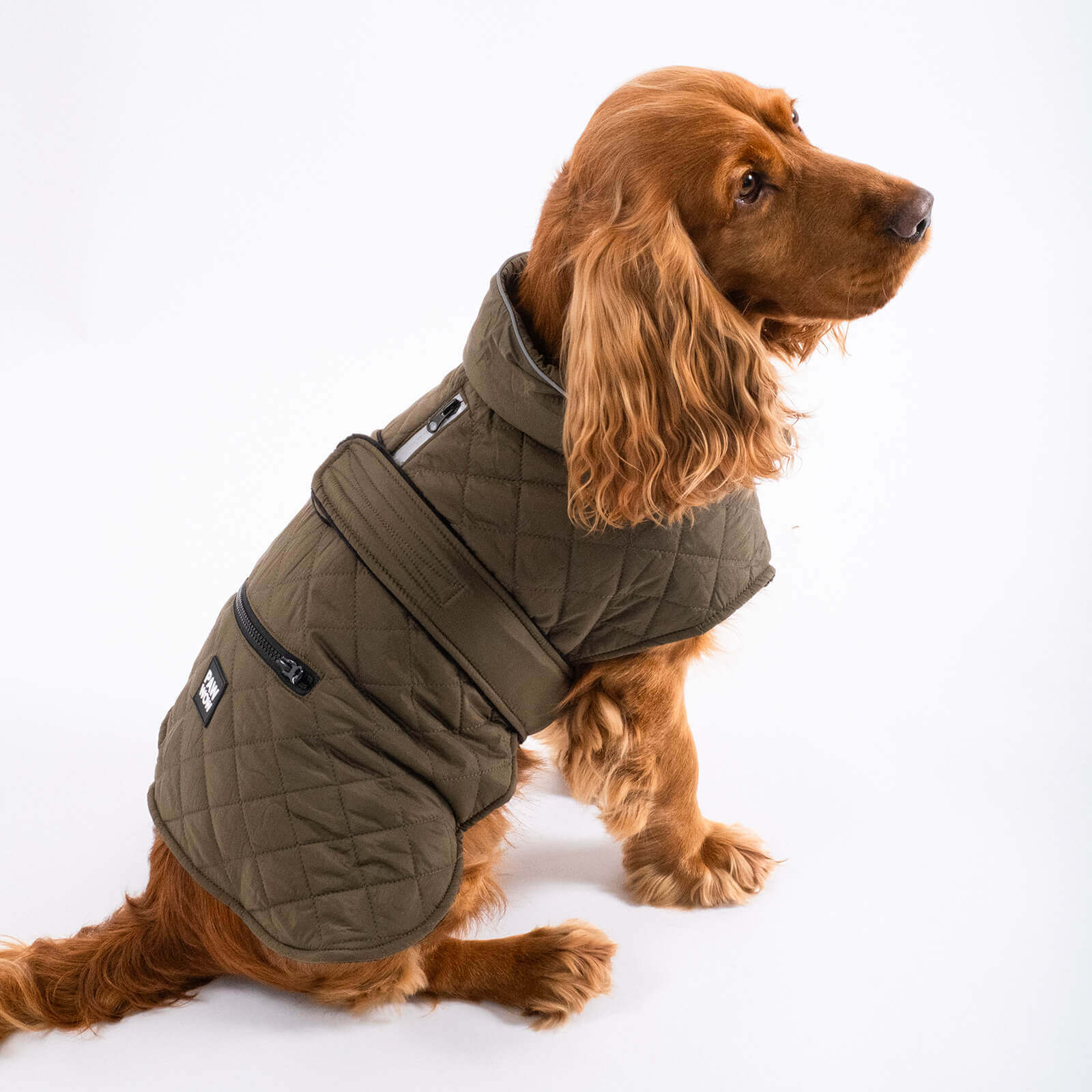 Hundejacke FRITZ Olive - paw-wow