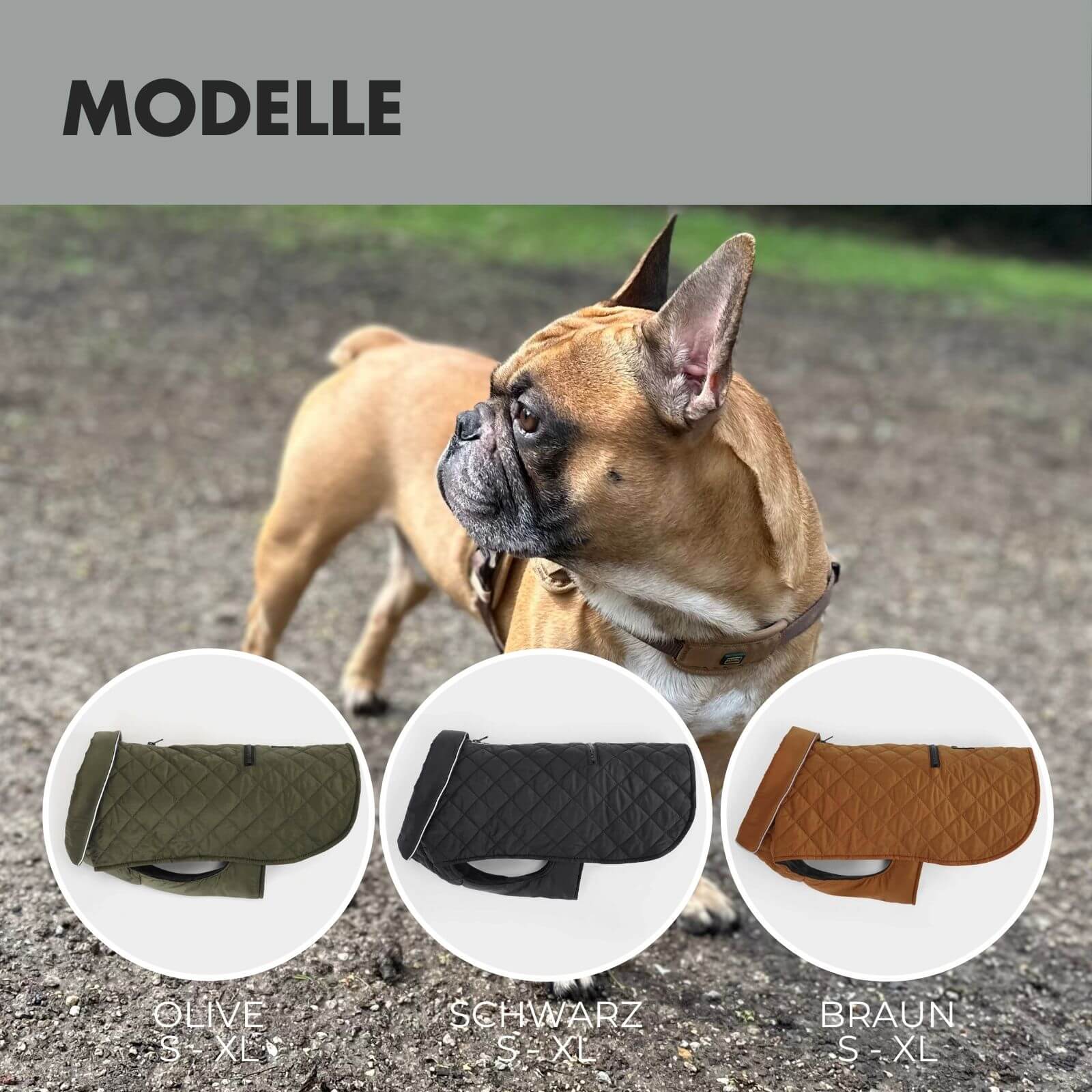 Hundejacke FRITZ Schwarz - paw-wow