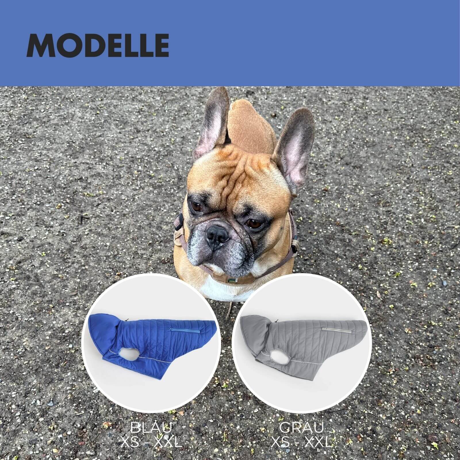 Hundejacke IMMI Blau - paw-wow