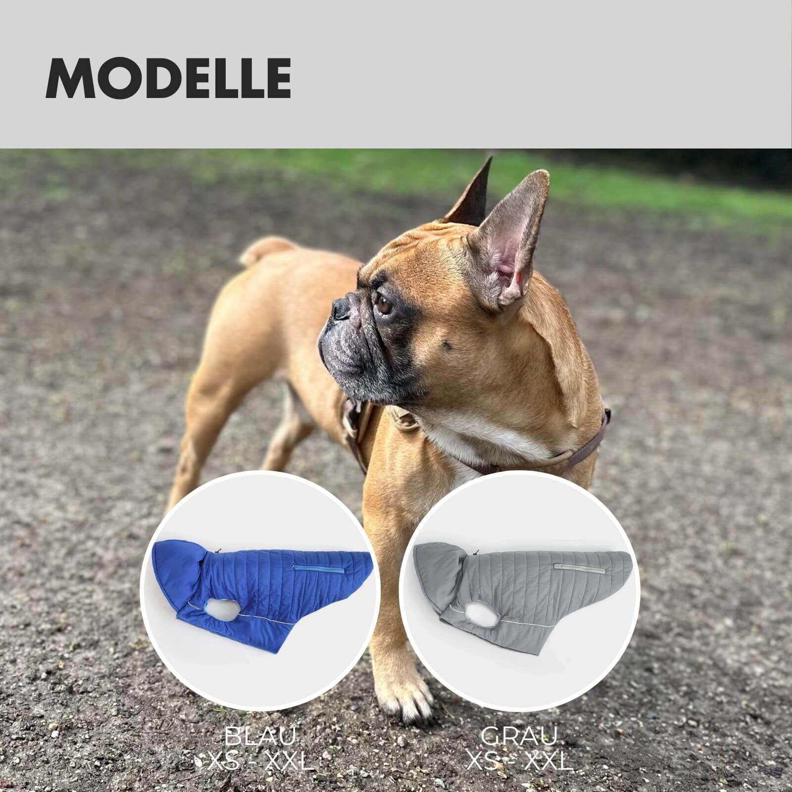 Hundejacke IMMI Grau - paw-wow