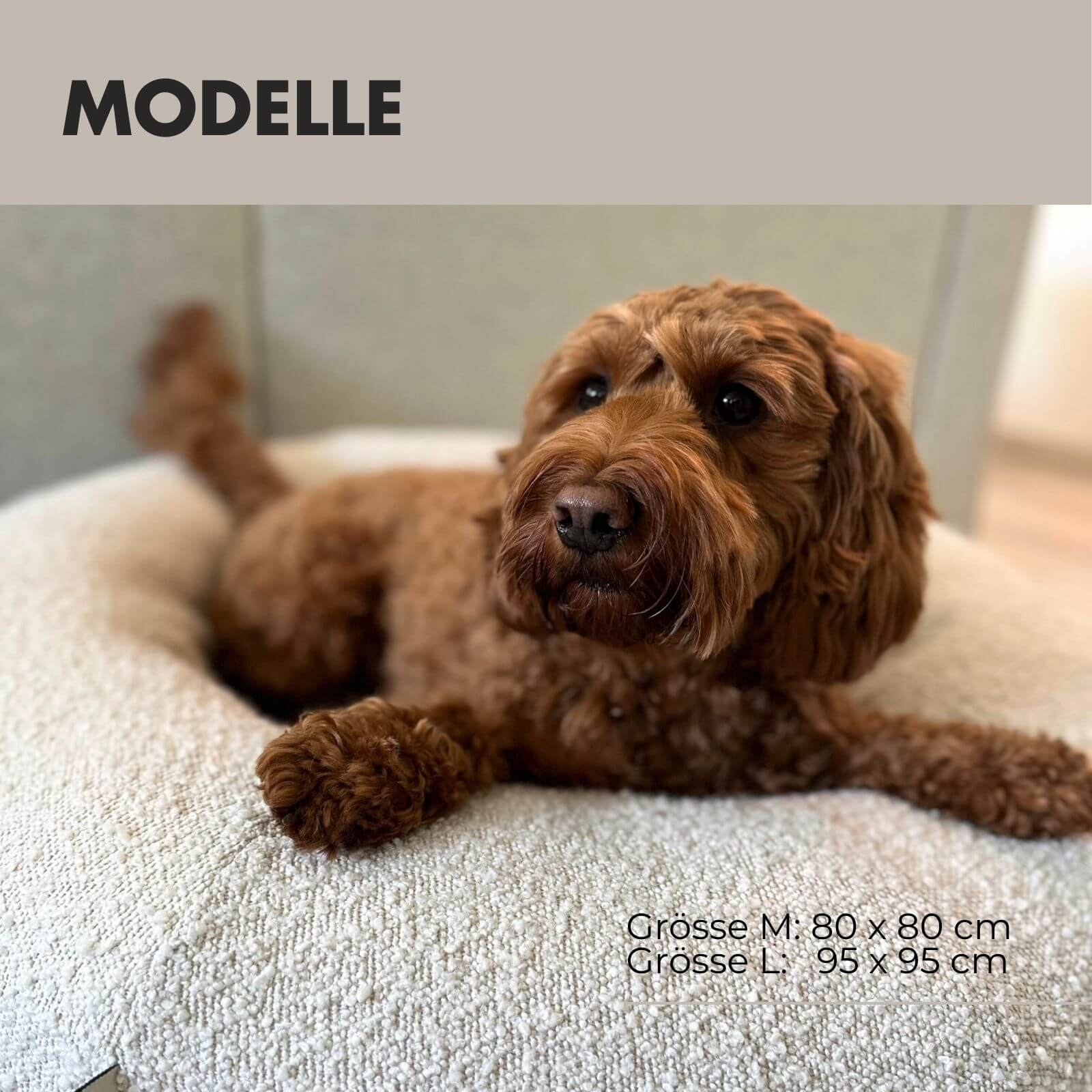 Hundebett LENI Bouclé Beige - paw-wow