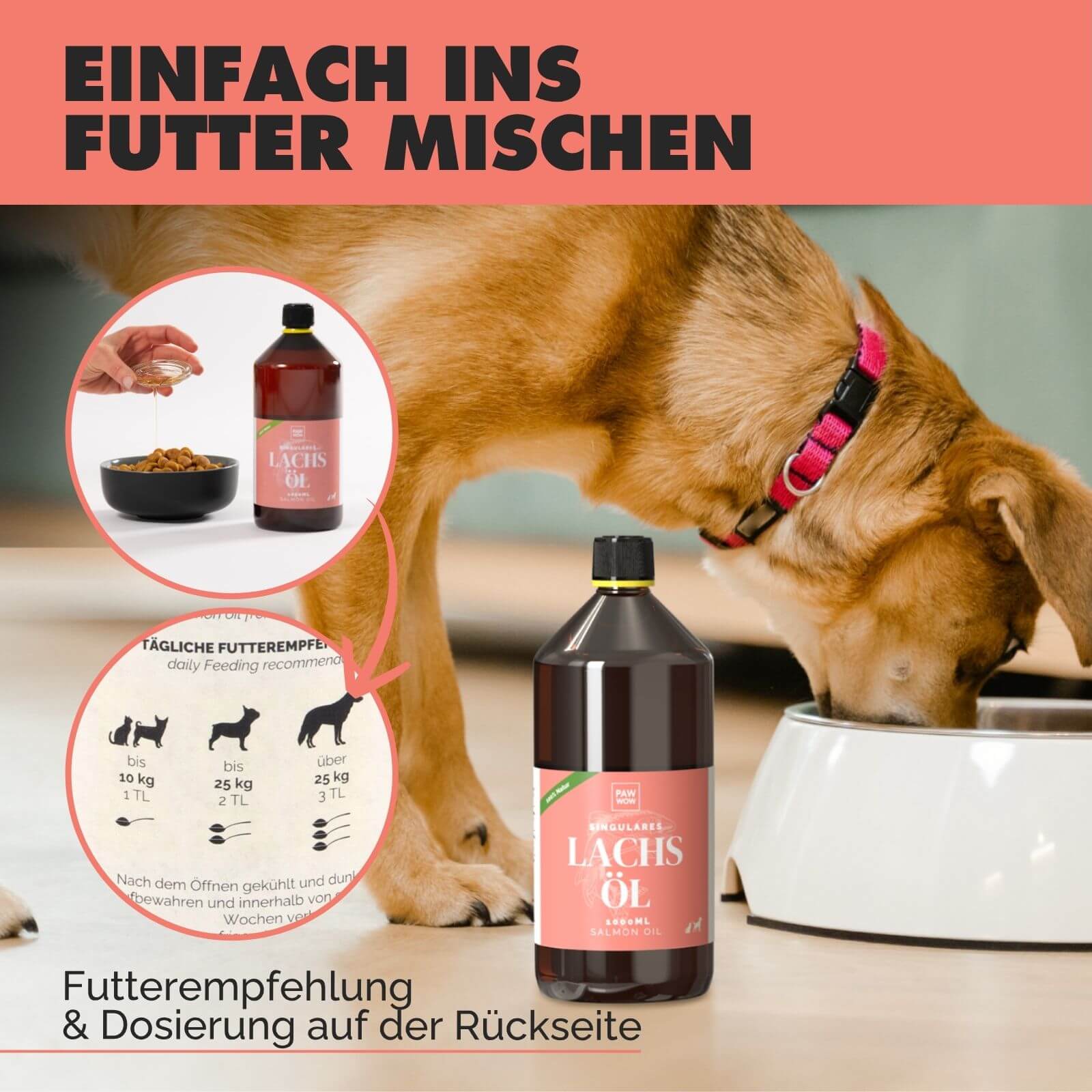 Lachsöl - Natürliche Omega-3-Power - paw-wow