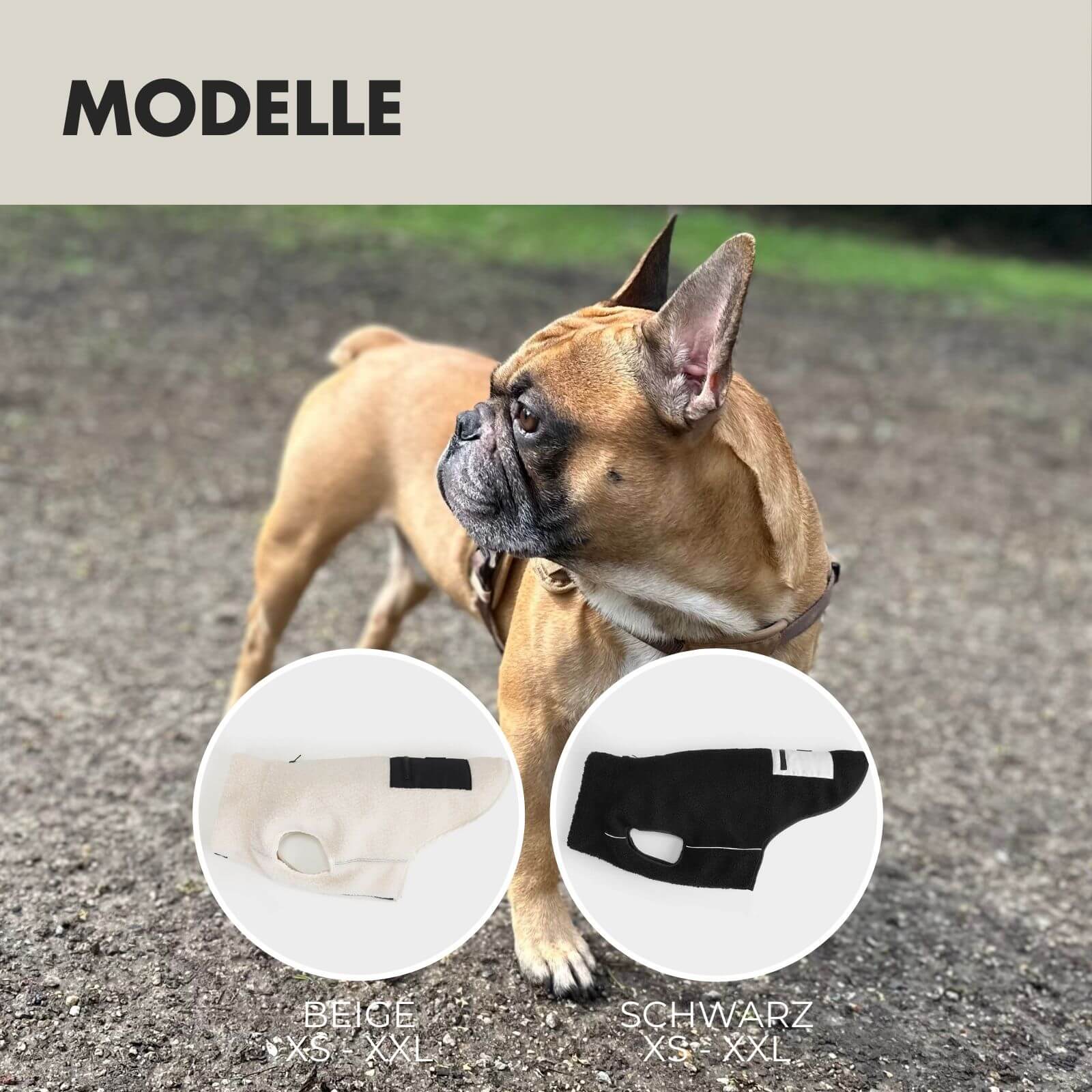 Hundejacke MIKA Beige - paw-wow