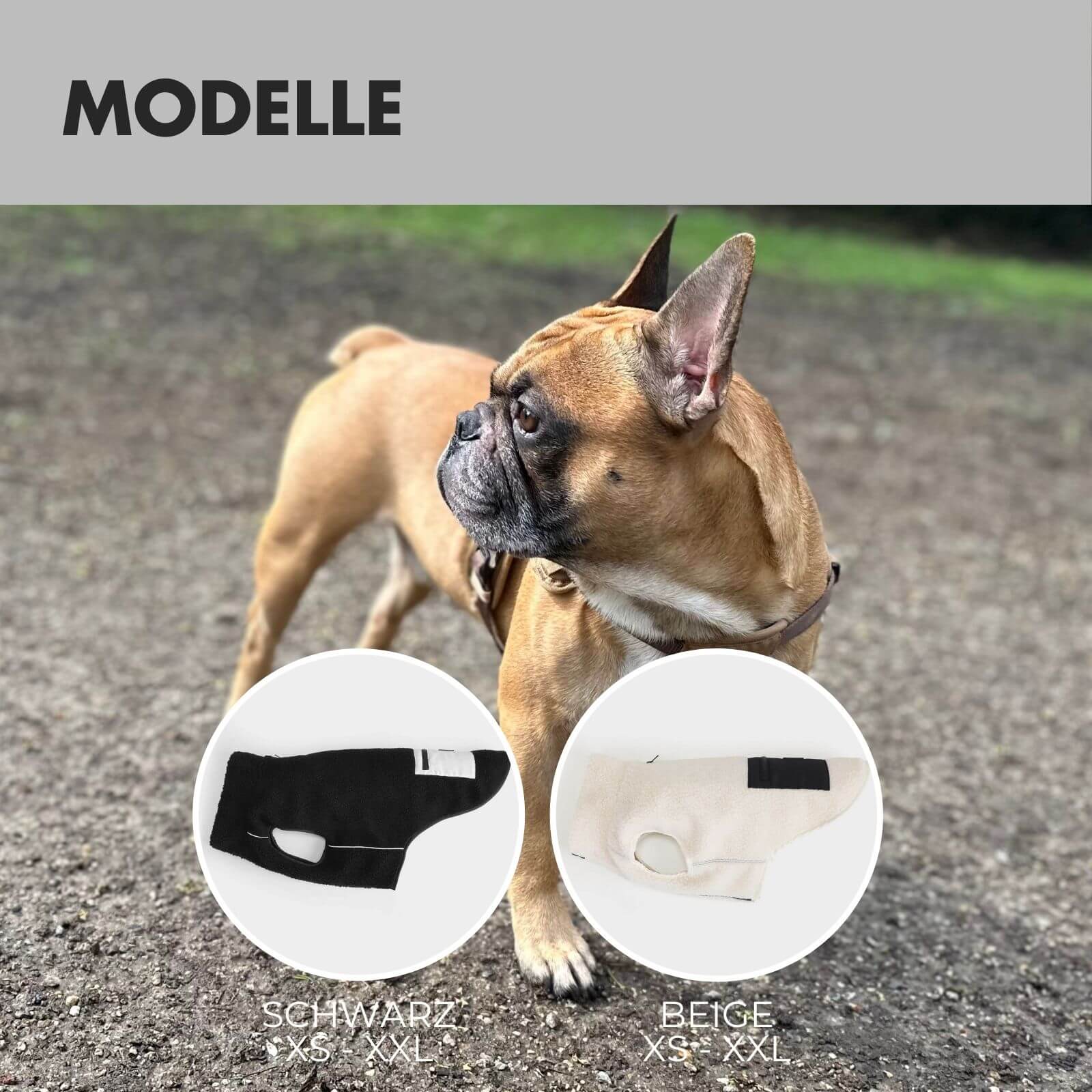 Hundejacke MIKA Schwarz - paw-wow