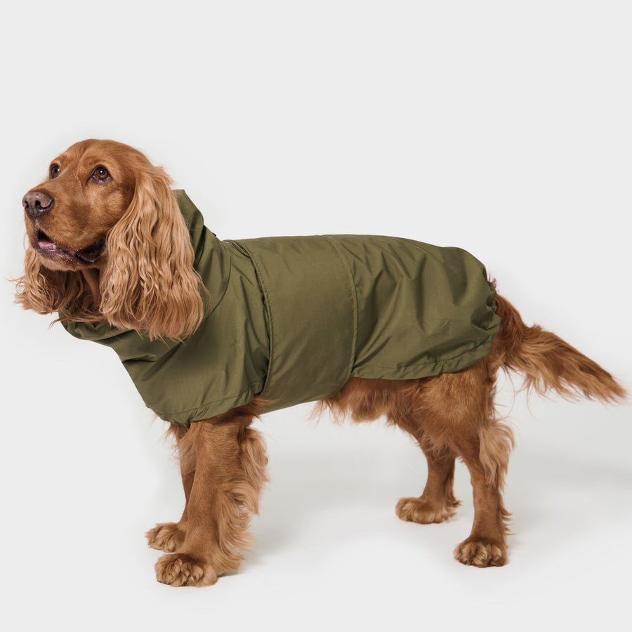 Hunderegenmantel OSKAR in Olive an einem Cocker Spaniel