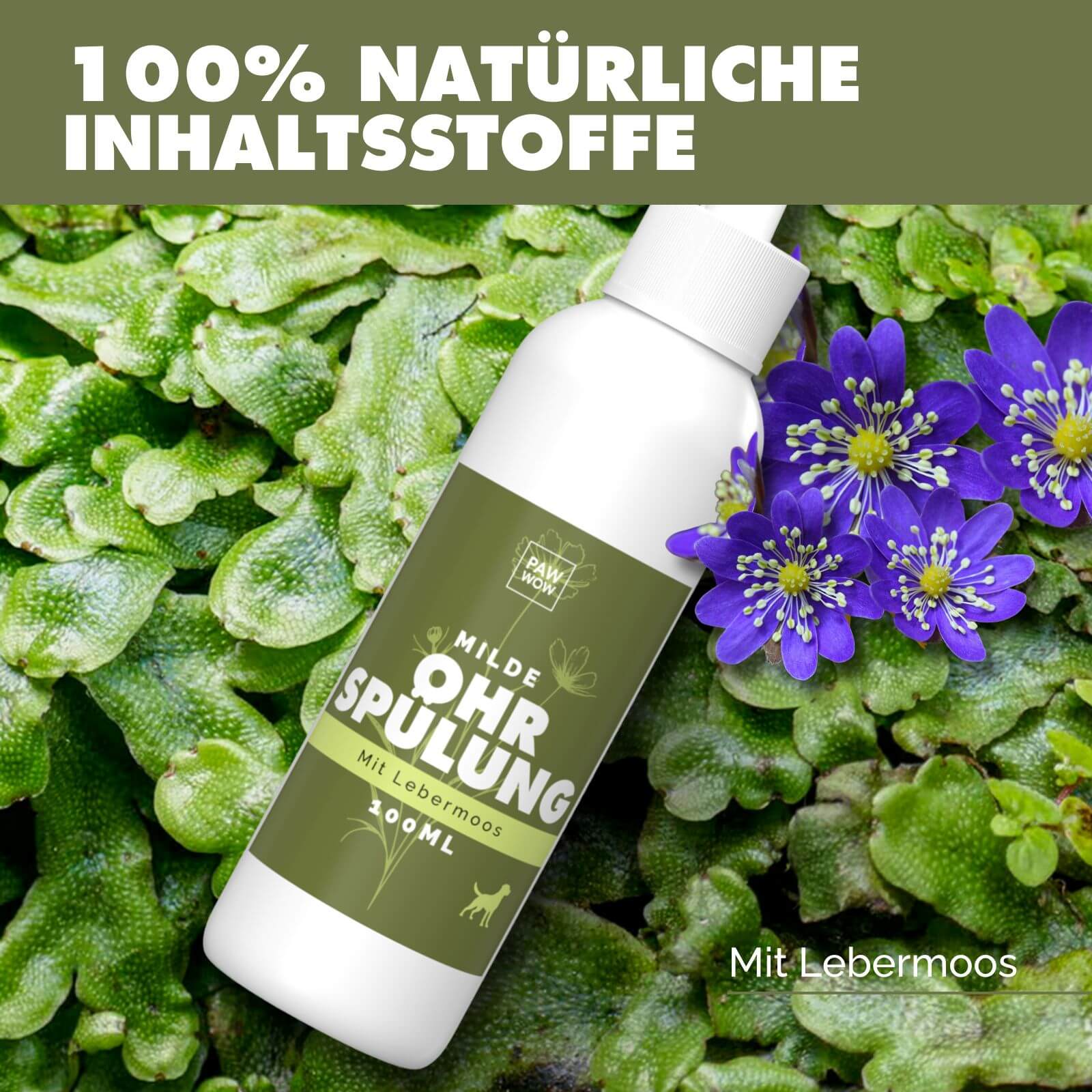 Ohrspülung mit Leberbmoos - paw-wow
