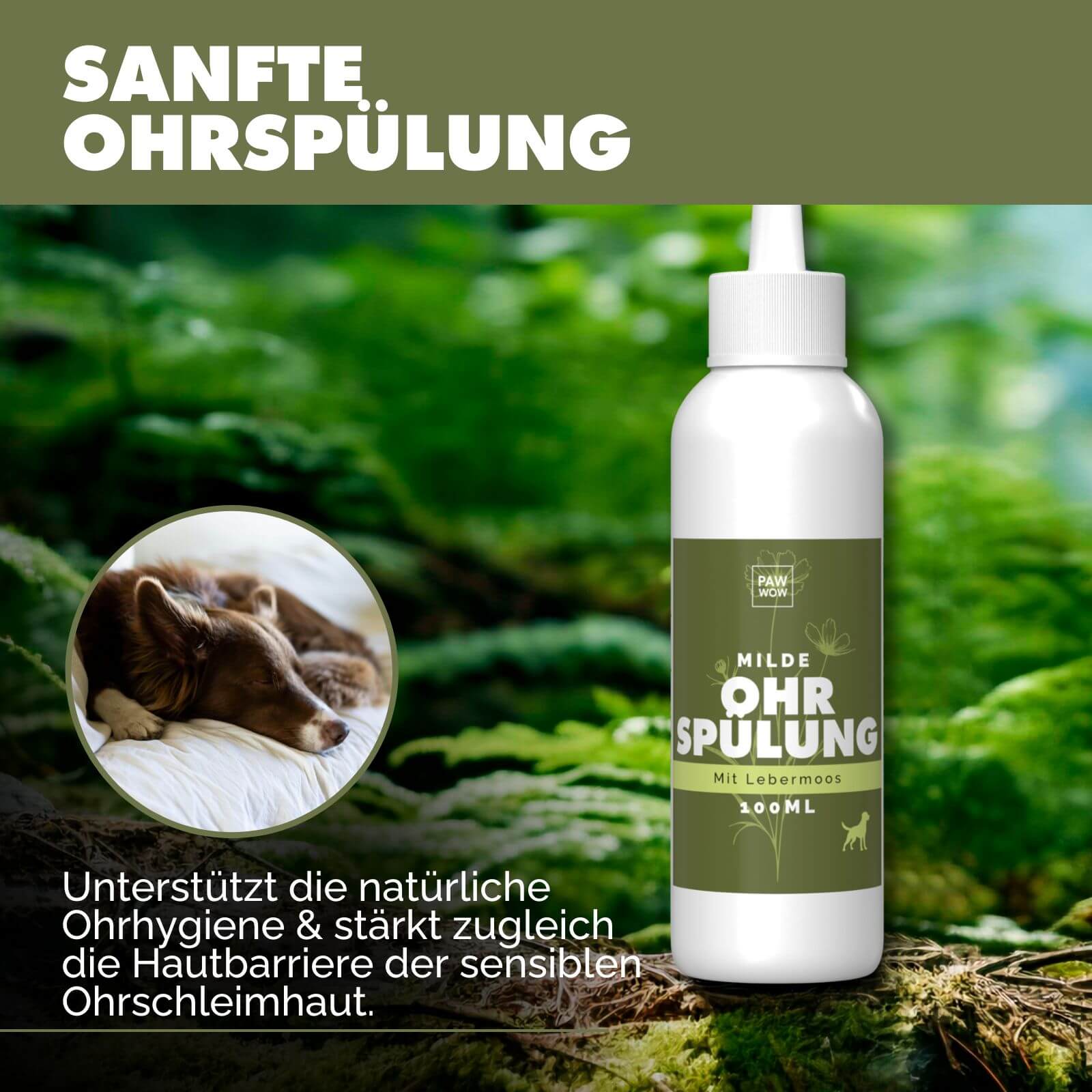 Ohrspülung mit Leberbmoos - paw-wow