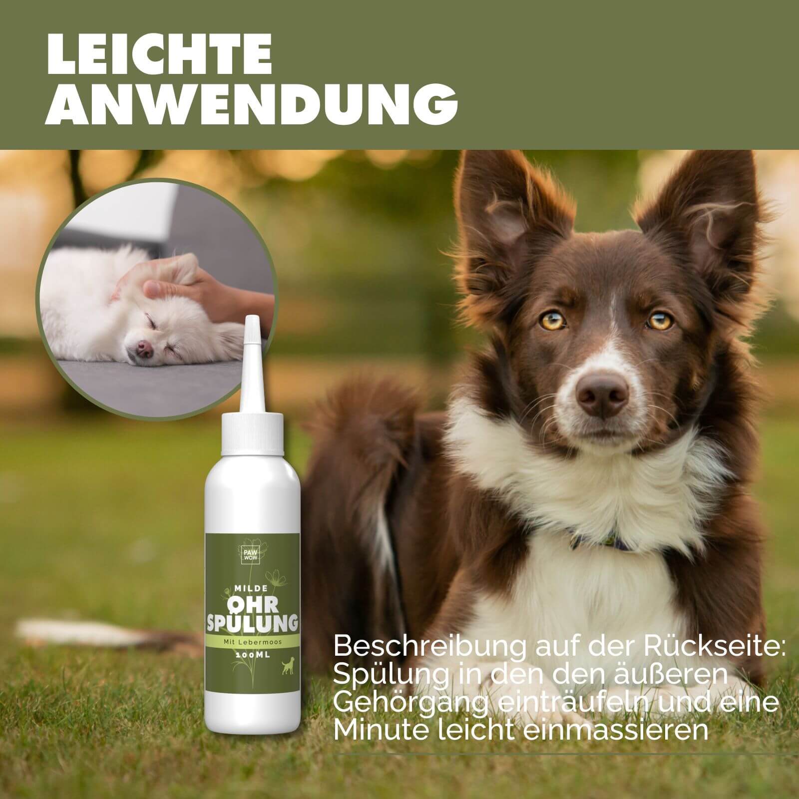 Ohrspülung mit Leberbmoos - paw-wow