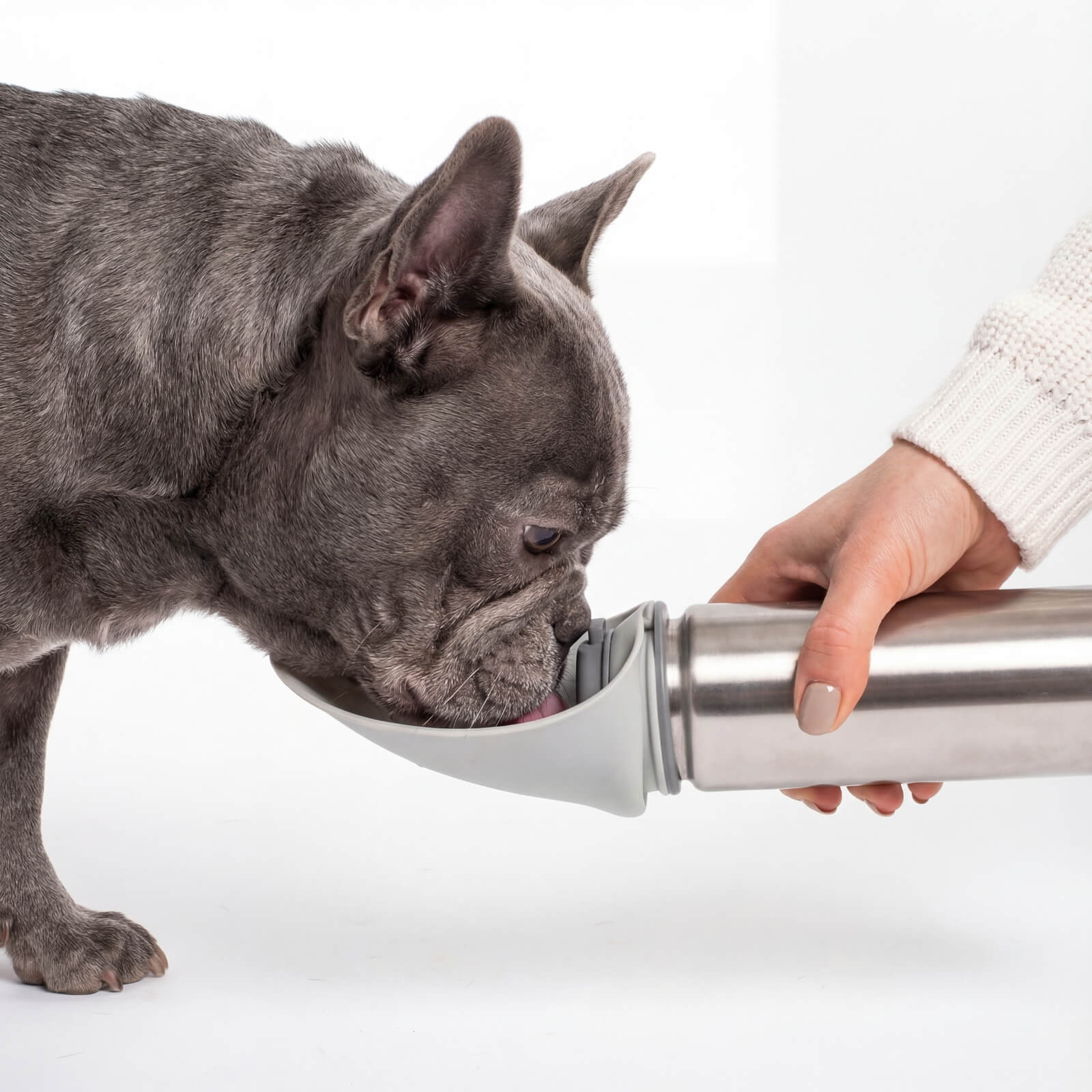 Trinkflasche für Hunde PAULA 500ml