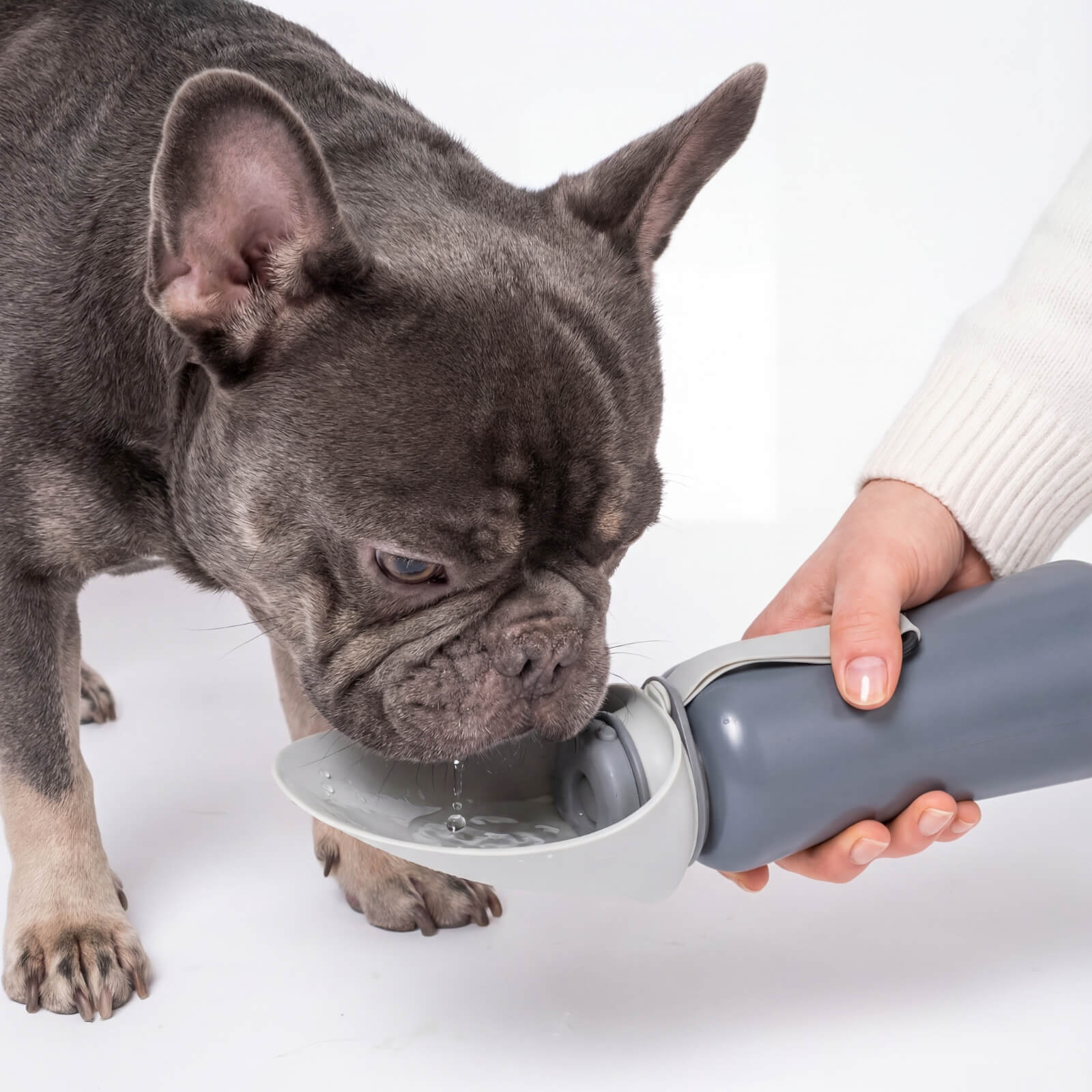 Trinkflasche für Hunde PAUL 800ml