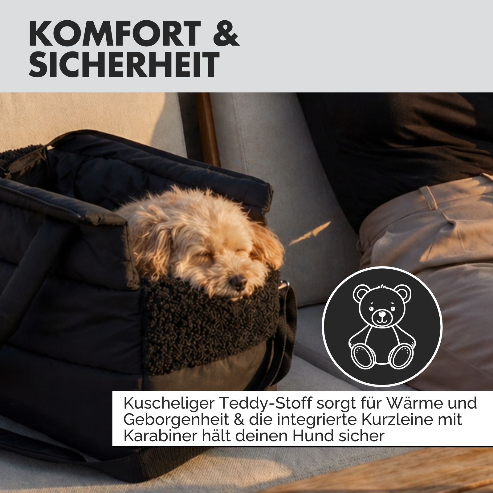 Hundetragetasche SARA Schwarz – PAW WOW