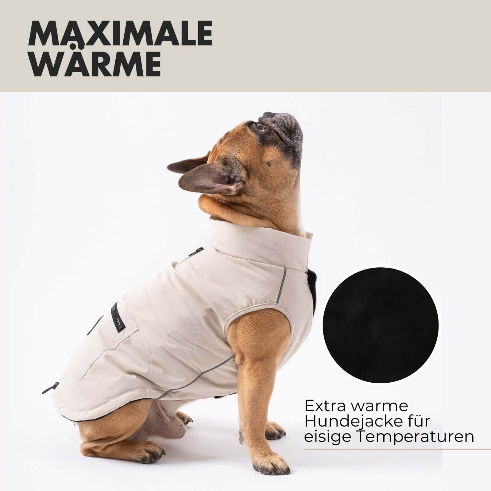 Hundejacke TONI Beige - paw-wow