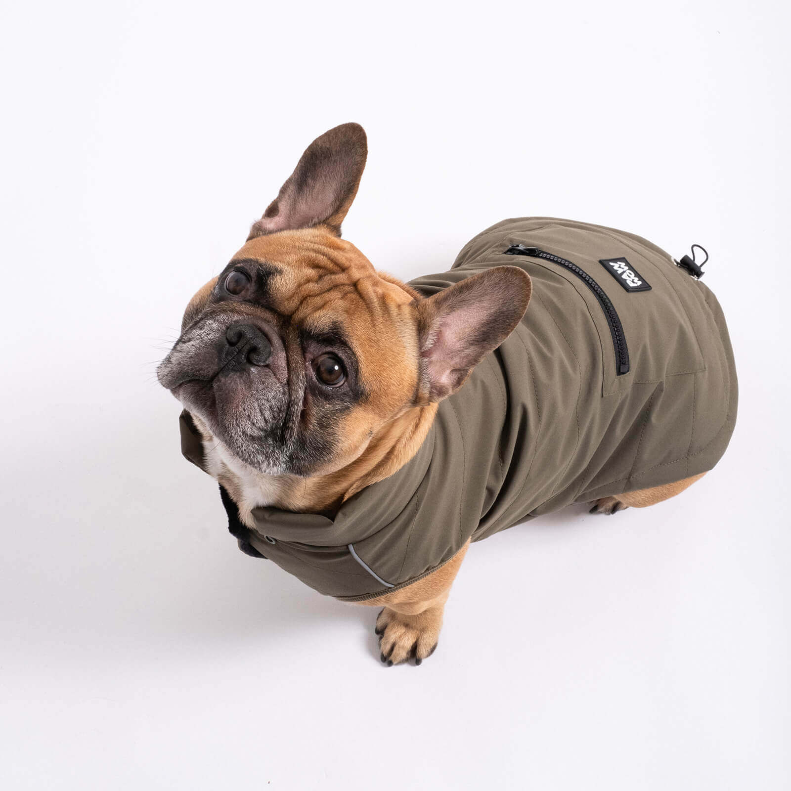 Hundejacke TONI Olive - paw-wow