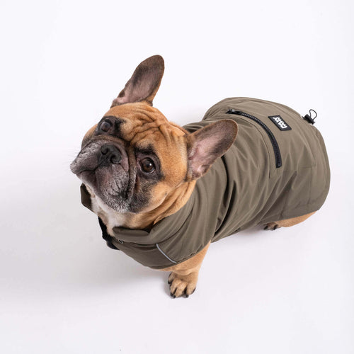 Hundemantel TONI
