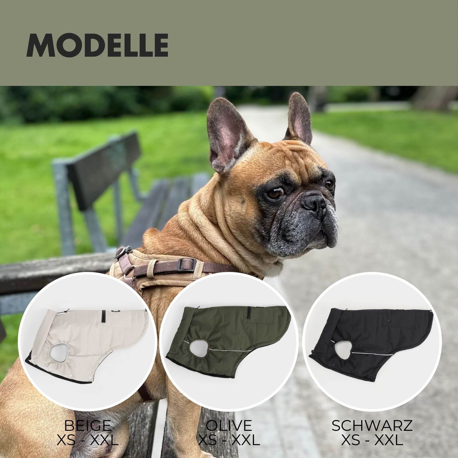 Hundejacke TONI Olive - paw-wow